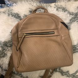 Back Pack Purse