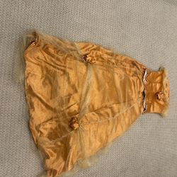 Adult Belle Costume