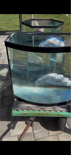26 Gallon Bow front fish tank