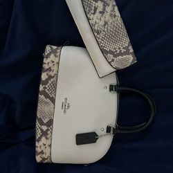 Coach Purse And Wallet