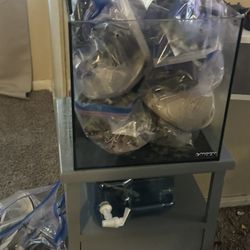 15 gallon salt aquarium