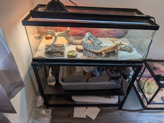 Reptile terrarium