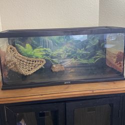 Cage with background one $50 two $90