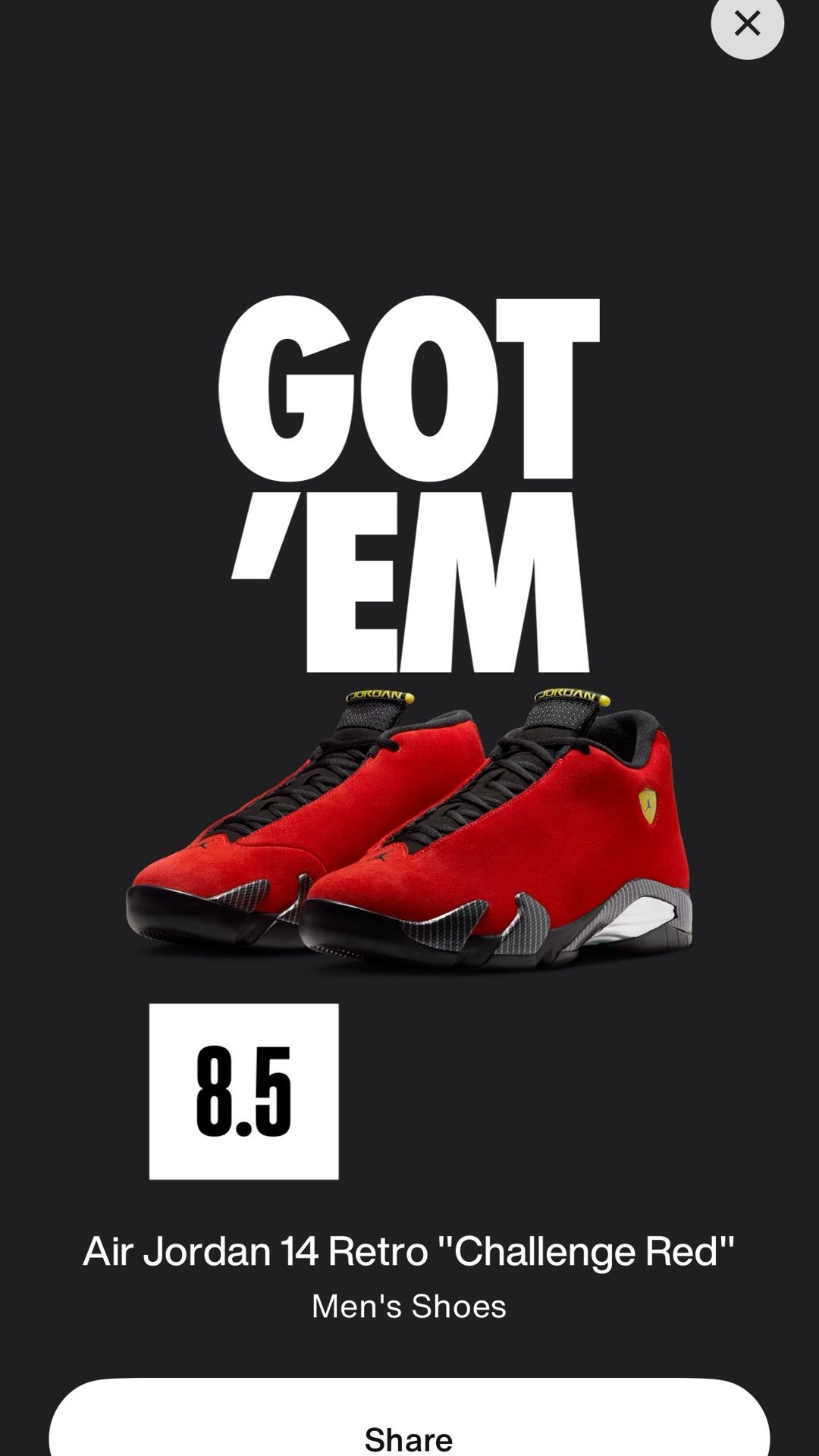 Jordan Retro 14 Ferrari