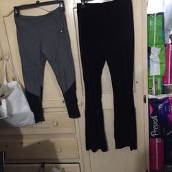 Velvet Bell bottoms Pants