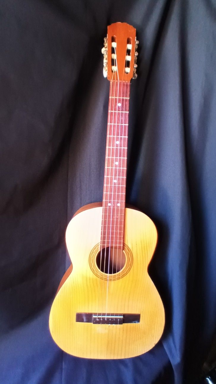 Acoustic Guitar Nylon Strings