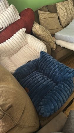 White and Blue Dog Comfy Chairs