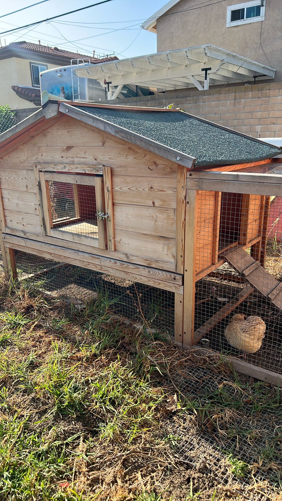 Coturnix Quail Coop