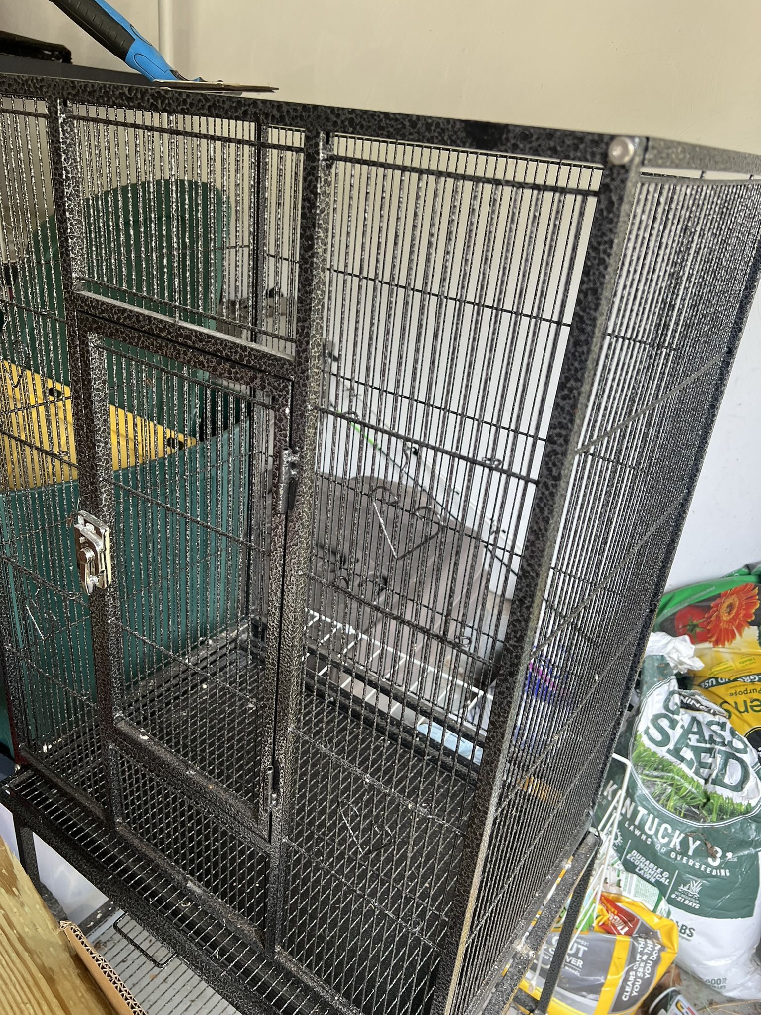 Bird Cage