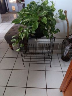 Vintage record holder plant stand