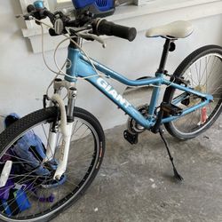 GIANT Boys bike