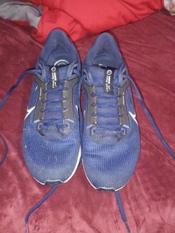 Nike Pegasus 40 Running Shoes