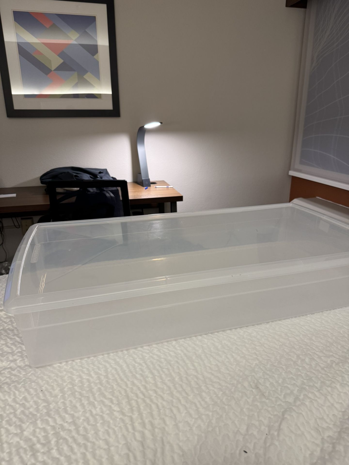 Two Free Plastic Bins