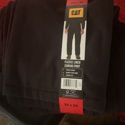cat pants 