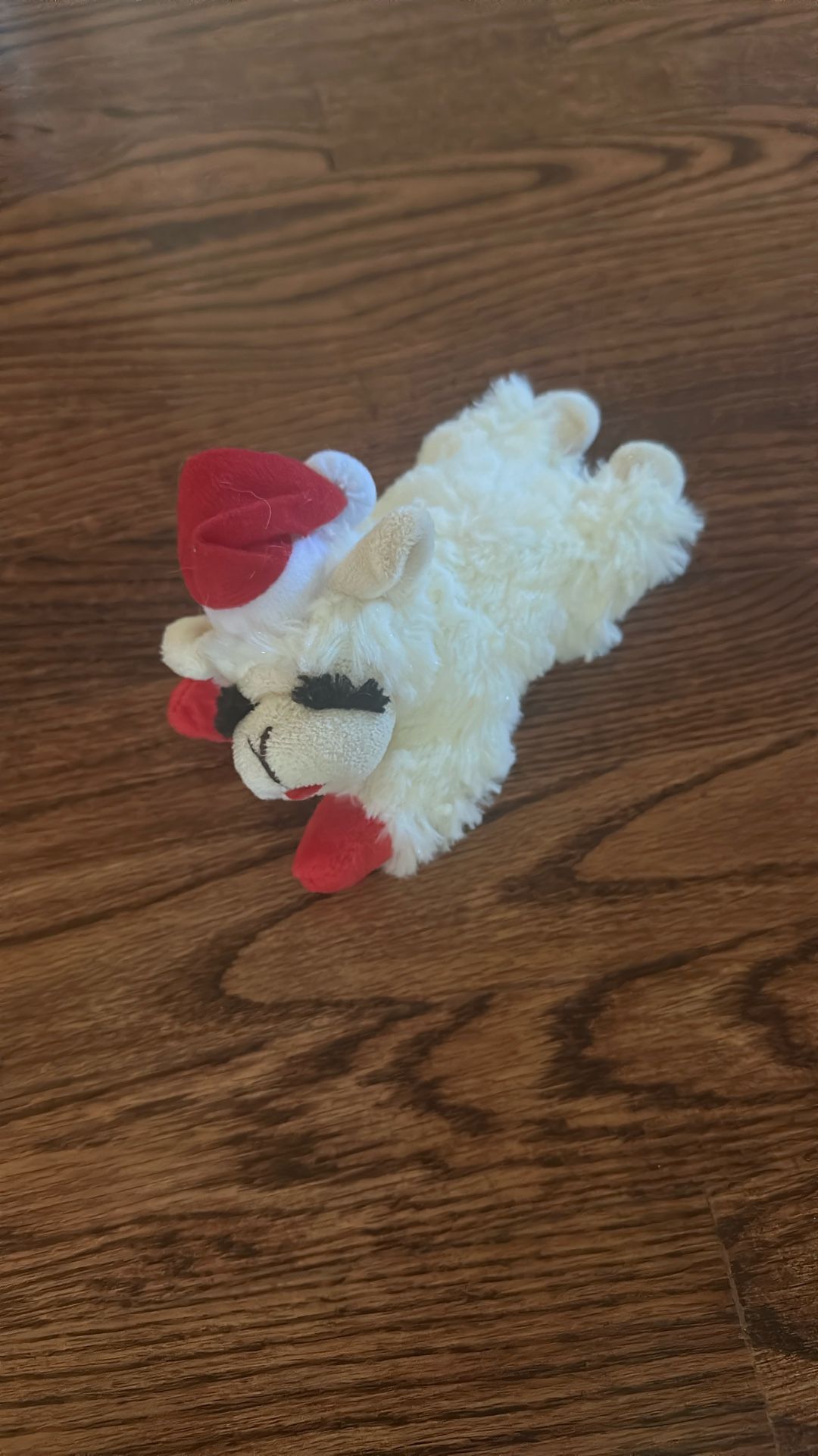 Like New Small Dog Toy 