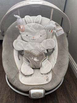Ingenuity Baby Bouncer