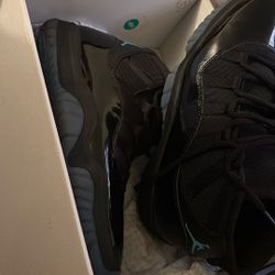 Gamma 12s