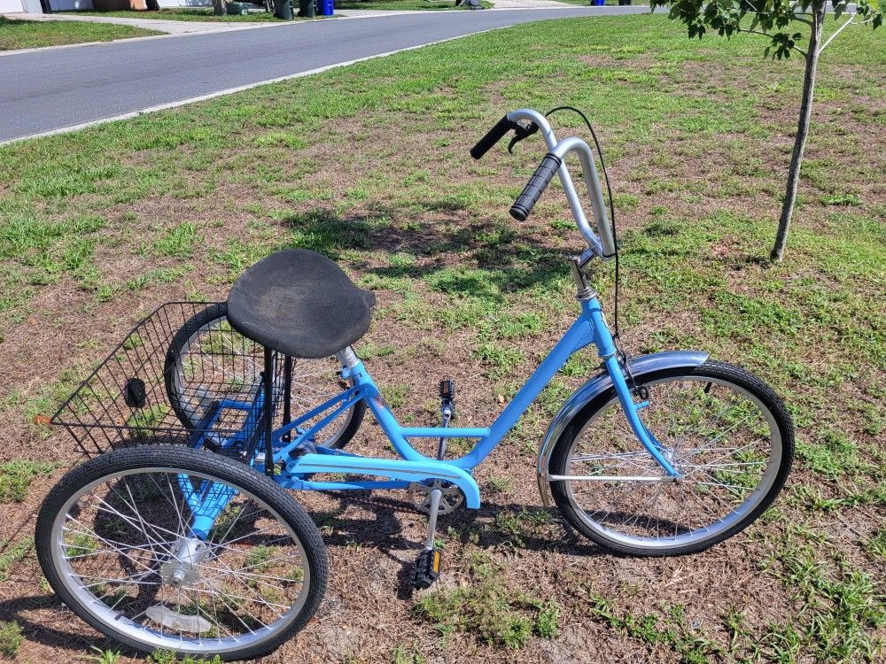 Miami sun online adult tricycle
