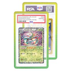 Graded Guard PSA Graded Card Case Protector [Python Green LIMITED ED] for  Sale in Garden Grove, CA - OfferUp