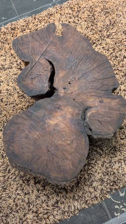 Large natural tree trunk coffee table base measures 35 in by 2 ft wide. 1 ft tall