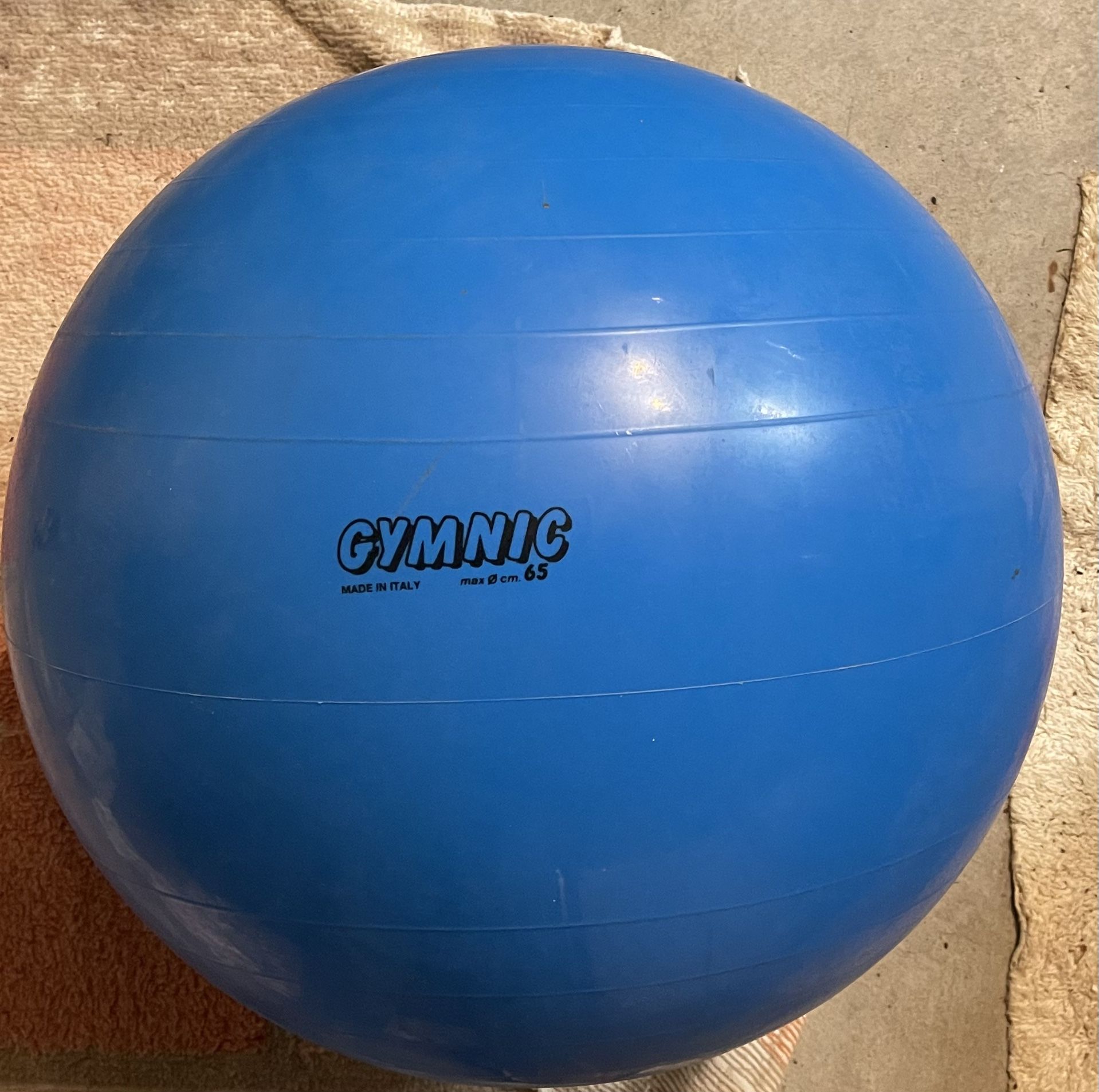 GYM EXERCISE BALL