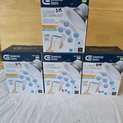 4 in. Smart Integrated LED Recessed Light Trim Wireless Adjustable CCT New Construction Remodel Powered by Hubspace