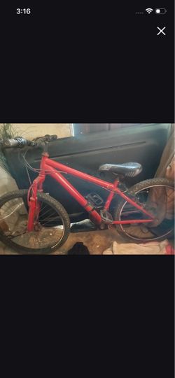 Bike size24