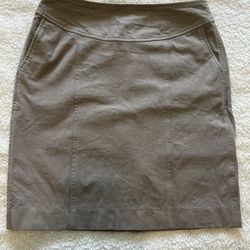 Banana Republic Skirt