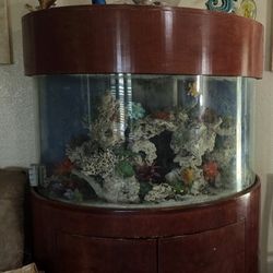 80 Gallon used Salt Water Tank