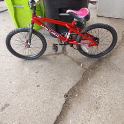 Dynacraft 16-in Beginners Bike The Little Boy Or Girl