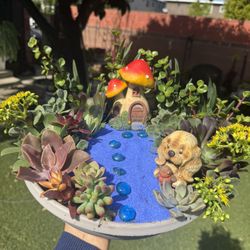 Very Pretty  Succulent arrangements 💞