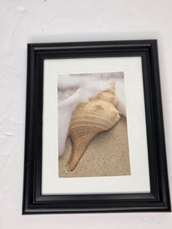 Coastal Conch Shell Beach Photography Framed Wall Art Nautical Summer 5x7