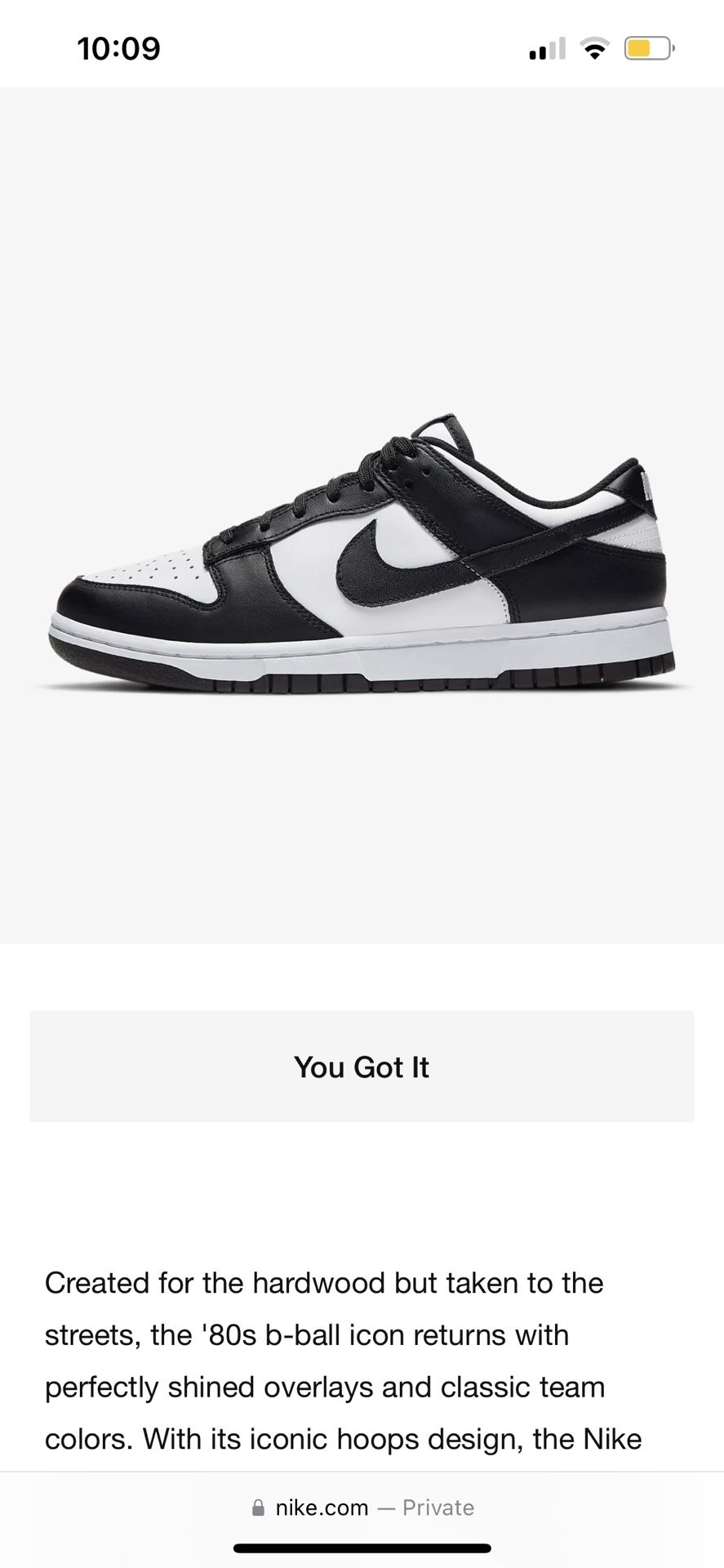 Nike Panda 🐼 Dunks 