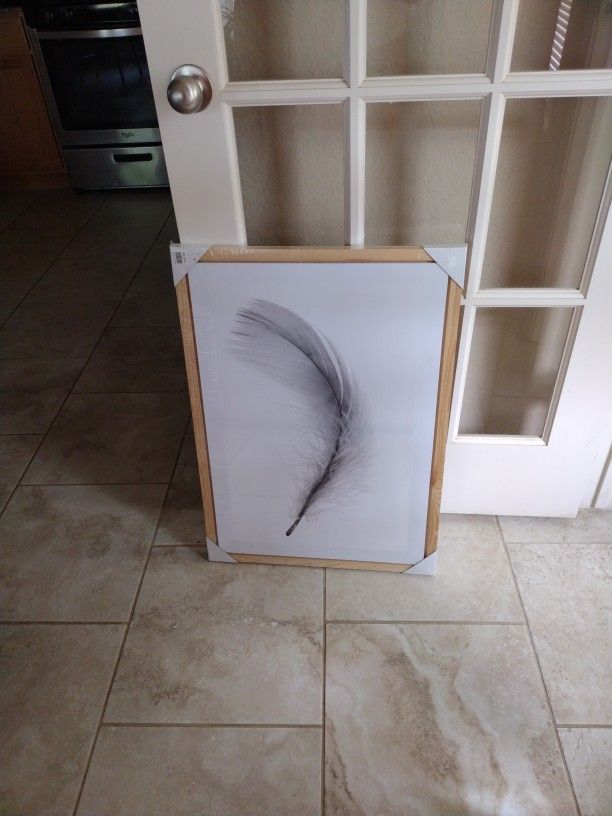 Canvas Feather Art