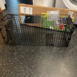 Animal Trap