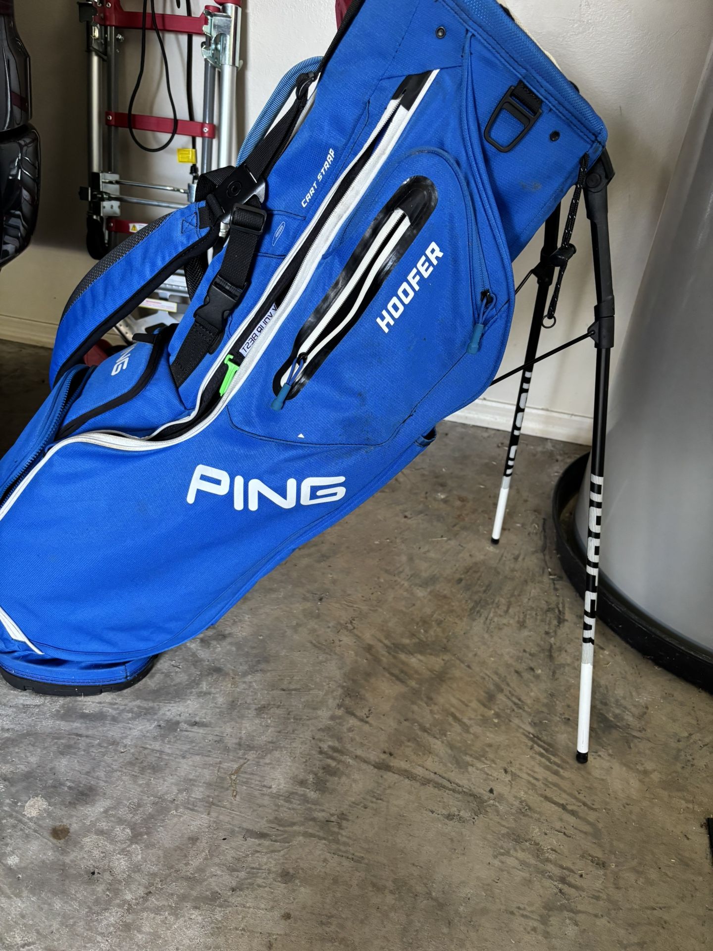 Ping hoofer 2021