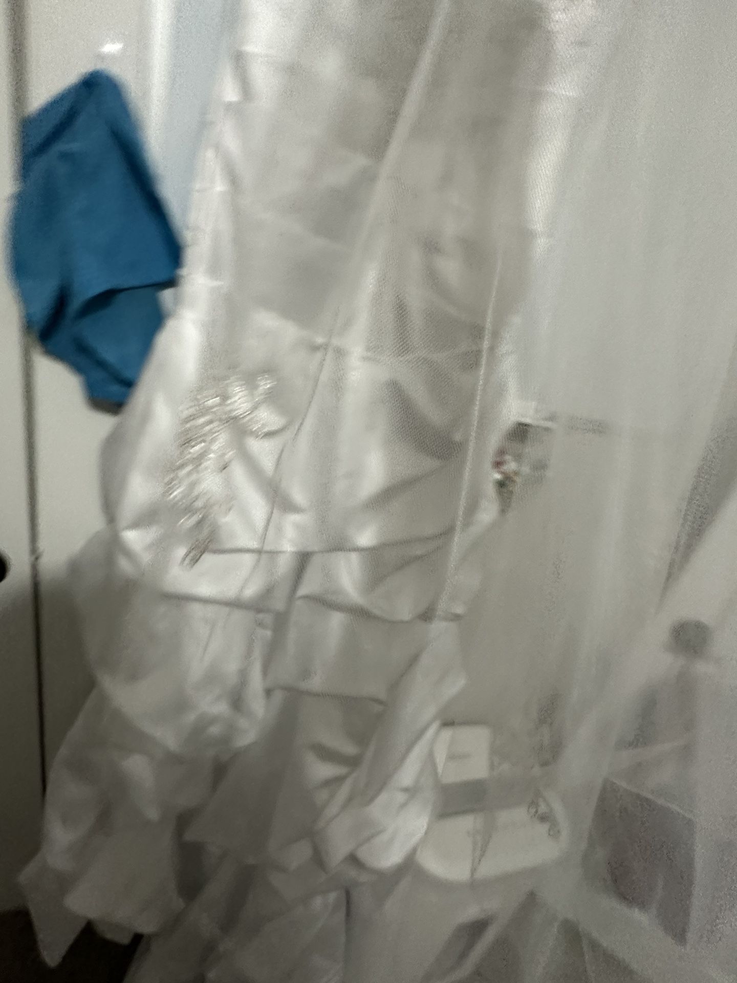 Wedding Dress and Veil