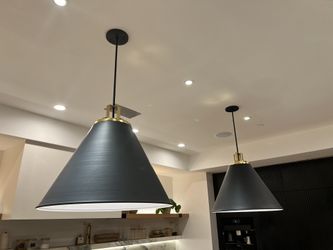 2 Rejuvenation Light Pendants