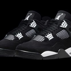 Jordan 4s White Thunder 11m DS