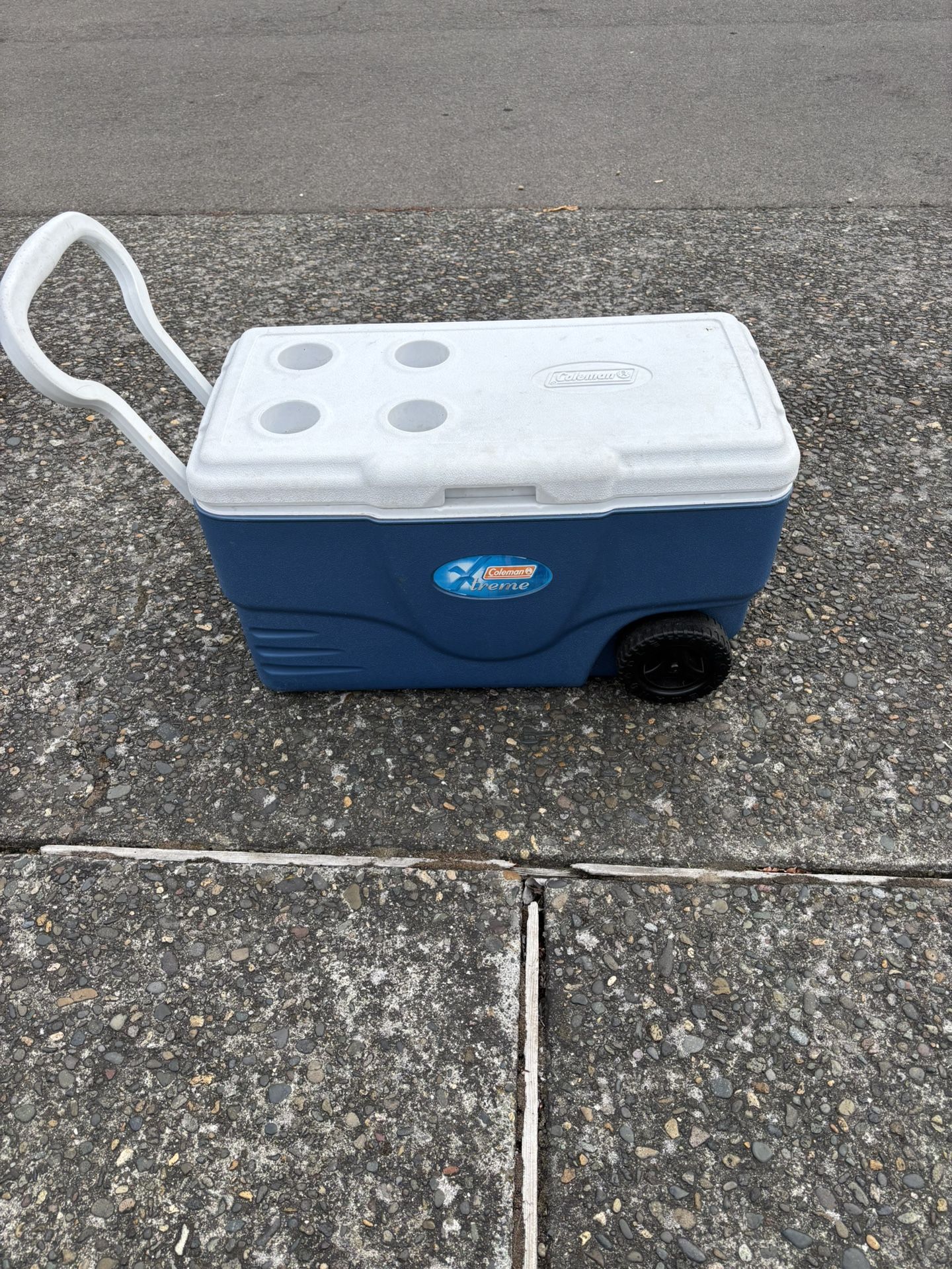 Coleman extreme cooler