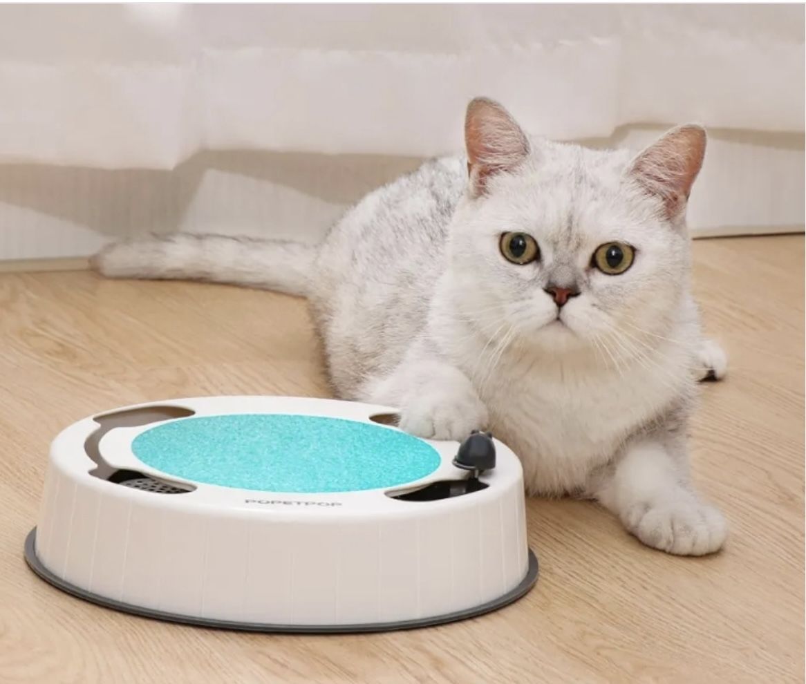 Cat Toy Chasing Mouse Toy