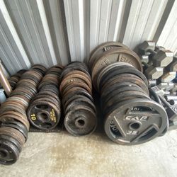 Olympic Weight Plates, Bars, Benches, Racks, Trees, Dumbbells And More!