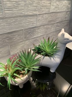 Artificial succulent plants with llama and spa theme