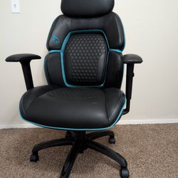 DPS Gaming Chairs / Black And White 