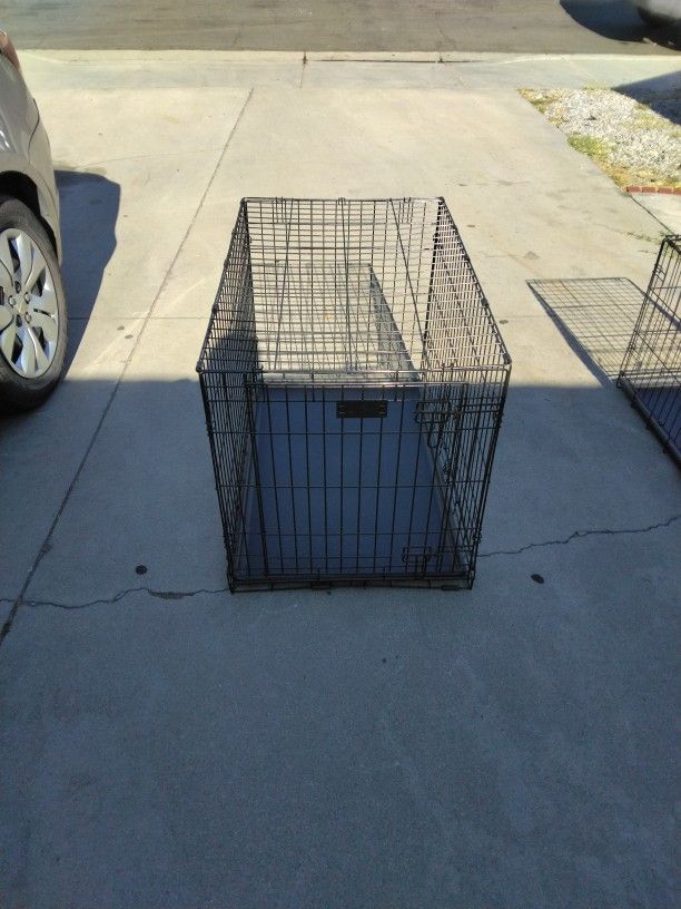 Large Dog 🐩Crate