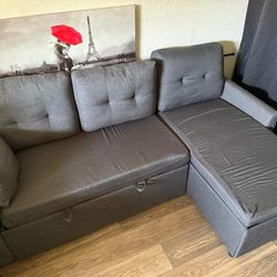 Pullout Sectional Sofa With Storage