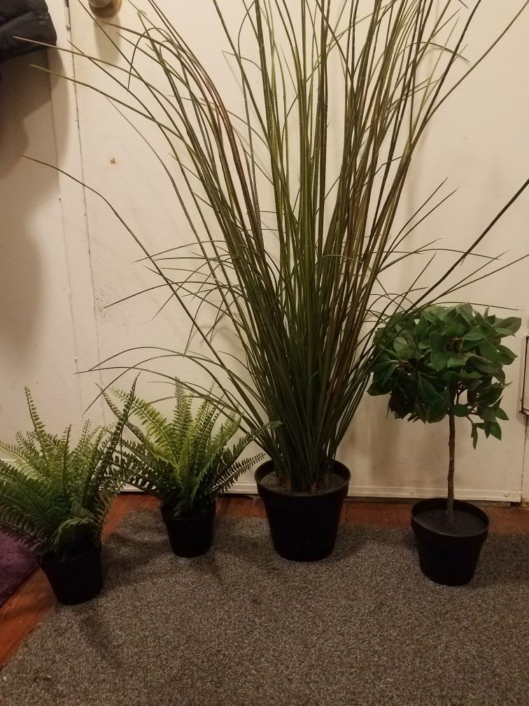 4 Ikea Fake Plants - Fejka plants
