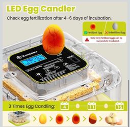 Egg Incubator / Incubadora de huevos