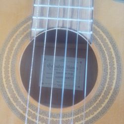 Ibanez Acoustic Electric Guitar 