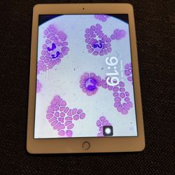 iPad 6th Generation 